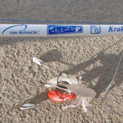 クラーケン！でいいですか？