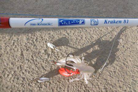 クラーケン！でいいですか？