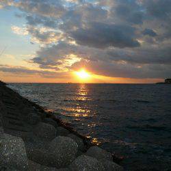 6回目の東二見落ちギス釣行は撃沈