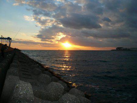 6回目の東二見落ちギス釣行は撃沈