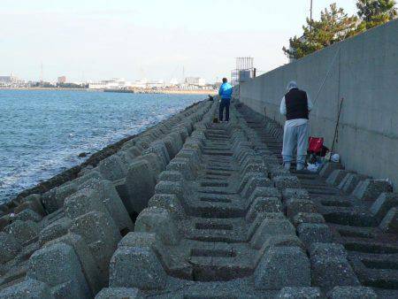 まだ釣れる二見人工島のキス