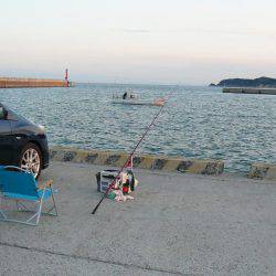 激渋の都志漁港で、まずまずの釣果でした
