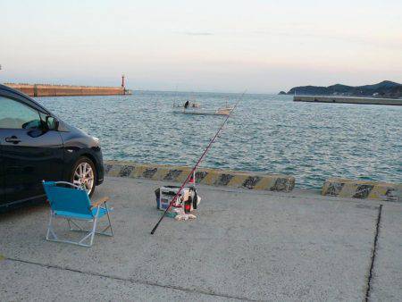 激渋の都志漁港で、まずまずの釣果でした
