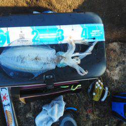 こんなん出ました・・・pt4