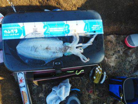 こんなん出ました・・・pt4