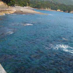 本命には出会えず