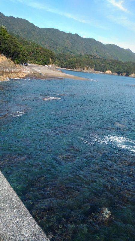 本命には出会えず