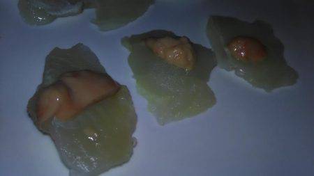 カワハギが釣りたくて