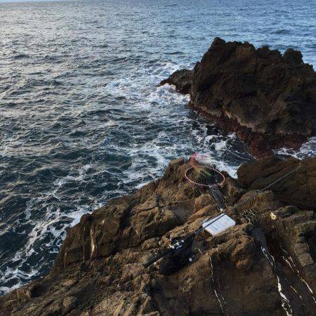 クリスマスメバル