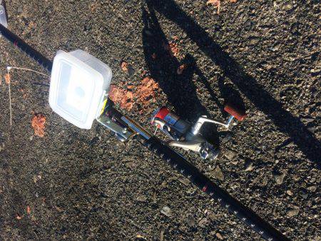 今年ラスト釣行