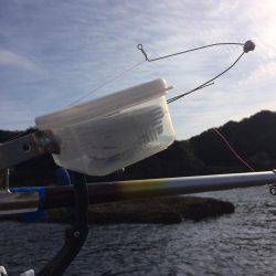 まだまだ新子がいてる