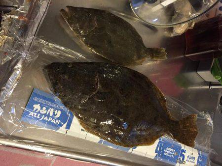 感動をありがとう!