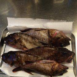 沖向きテトラへ