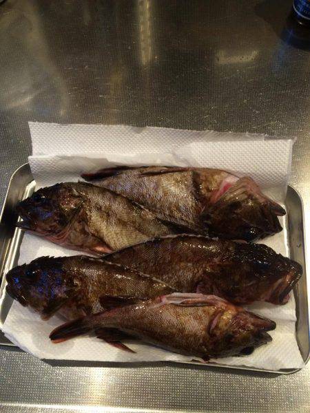 沖向きテトラへ