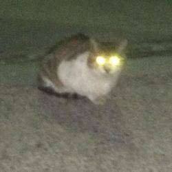 もう直ぐシーズン終了？