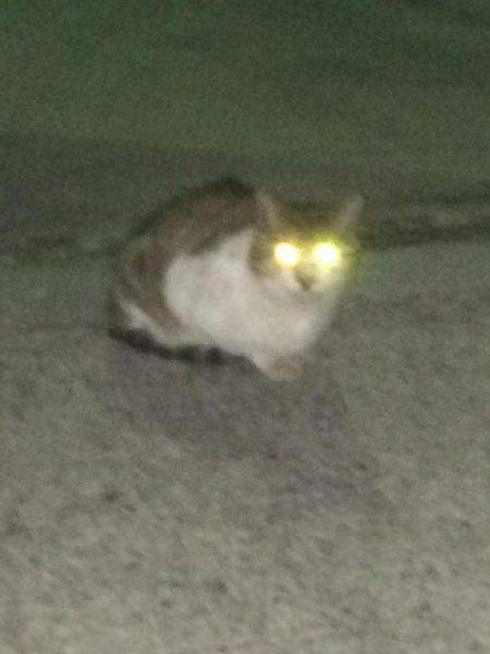 もう直ぐシーズン終了？