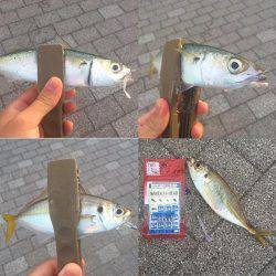 デイ＆ナイトアジング！