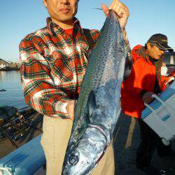 浅間丸 釣果