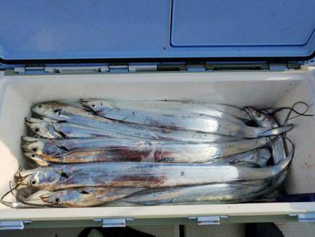 遊漁船　ニライカナイ 釣果