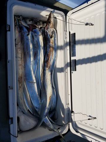 遊漁船 ニライカナイ 釣果