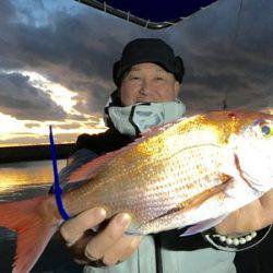 ミタチ丸 釣果