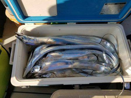 遊漁船　ニライカナイ 釣果