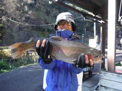 すそのフィッシングパーク 釣果