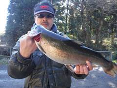 すそのフィッシングパーク 釣果