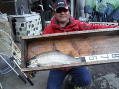 すそのフィッシングパーク 釣果