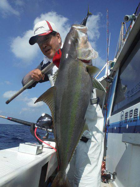 オーシャンパイオニア 釣果