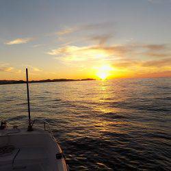 フィッシングボート空風(そらかぜ) 釣果