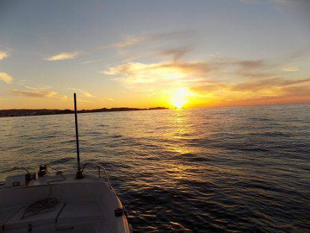 フィッシングボート空風(そらかぜ) 釣果