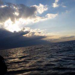 暁〜akatsuki〜 釣果