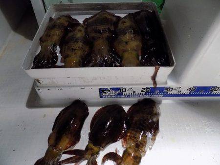 フィッシングボート空風(そらかぜ) 釣果