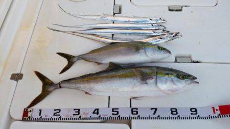 暁〜akatsuki〜 釣果