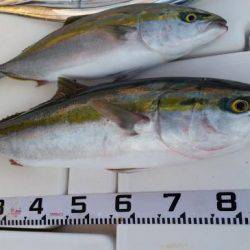 暁〜akatsuki〜 釣果