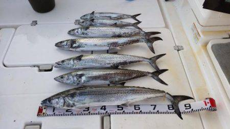 暁〜akatsuki〜 釣果