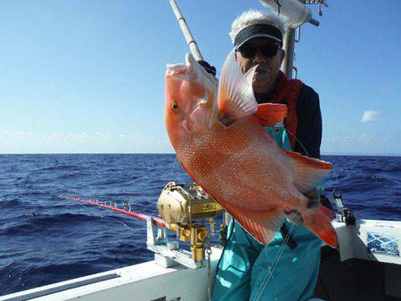 オーシャンパイオニア 釣果