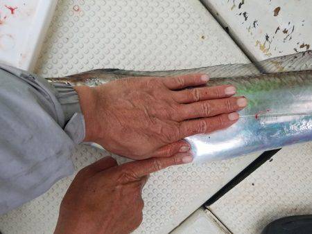 遊漁船　ニライカナイ 釣果