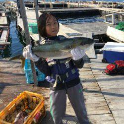 由良海上釣り堀 海人 釣果