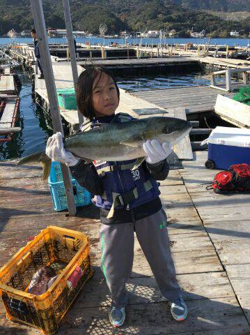 由良海上釣り堀 海人 釣果