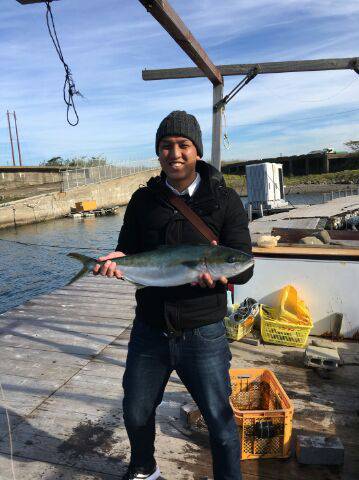由良海上釣り堀 海人 釣果
