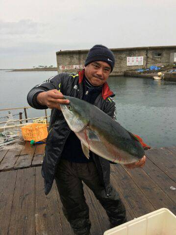 由良海上釣り堀 海人 釣果