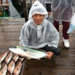 由良海上釣り堀 海人 釣果