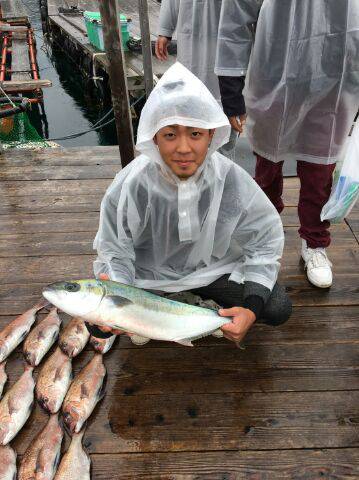 由良海上釣り堀 海人 釣果