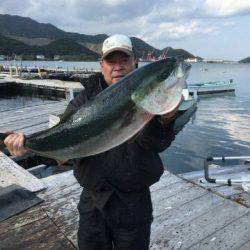 由良海上釣り堀 海人 釣果
