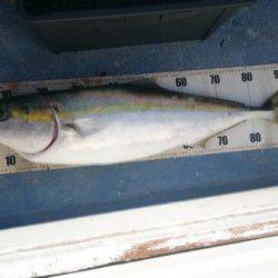 釣り船武蔵 釣果