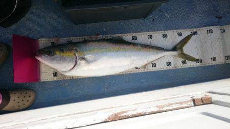 釣り船武蔵 釣果