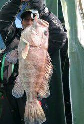 伊豆下田フィッシング 釣果