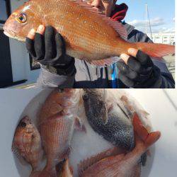 第三隆栄丸 釣果